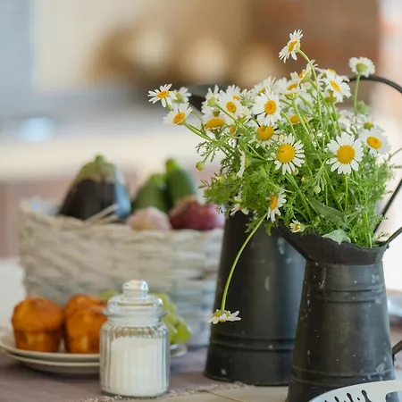 빌라 Vally 포레치